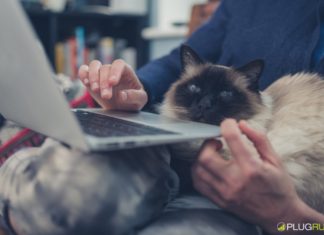 Yes, I work from home. How do you do that? I could never…