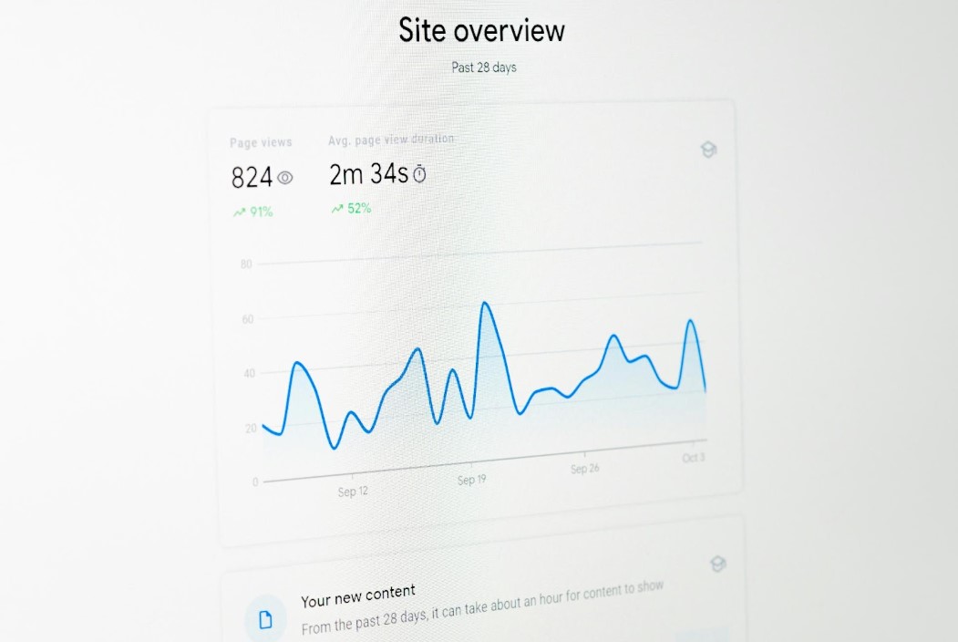 A screen image of the site overview website traffic chart.