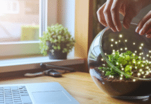 A Simple Guide to Earning Money From Your Website Hands nurturing a terrarium with glowing lights.