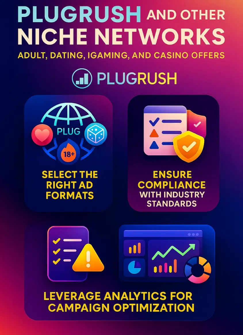 Infographic with PlugRush tips for niche ad networks: ad formats, compliance, and analytics for adult, dating, and casino offers.