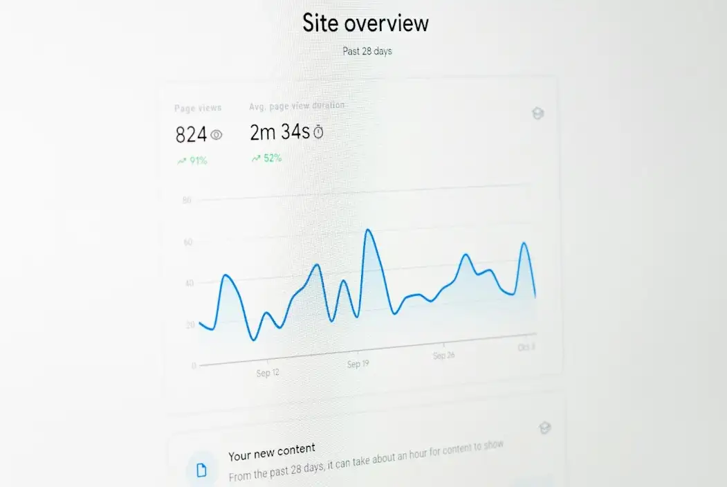 A screen image of the site overview website traffic chart.
