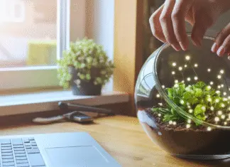 A Simple Guide to Earning Money From Your Website Hands nurturing a terrarium with glowing lights.