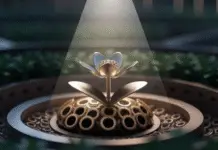 Top Strategies to Maximize ROI in Digital Advertising Campaigns Fleur mécanique en laiton qui fleurit sous un faisceau de lumière.