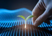 Ten Smart Tips for Better Digital Ad Results Hand planting glowing seedling in grid.