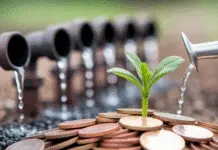 Is Your Advertising Budget Vanishing Into Thin Air? Person nurturing investment sprout, avoiding waste.